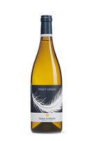 Pinot Grigio Sudtirol Doc - Klaus Lentsch - 6 bottiglie