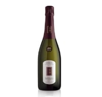 Vigneto Giardino Valdobbiadene Dry Prosecco Superiore DOCG Magnum