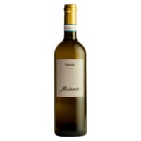 Soave Classico DOC Netrroir - Corte Mainente