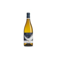 Pinot Grigio DOC - Klaus Lentsch