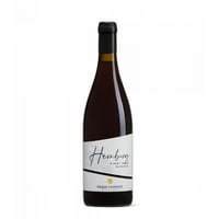Hemberg Pinot Nero Riserva Sudtirol Doc Magnum - Klaus Lentsch