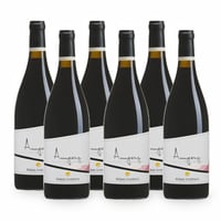 Lagrein Riserva Amperg Sudtirol DOC - 6 bottiglie