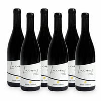 Laianus Lagrein Riserva Doc - 6 bottiglie - Kluas Lentsch