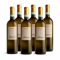 Soave Classico DOC Netrroir - 6 bottiglie - Corte Mainente