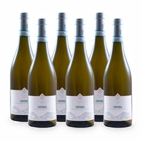 Custoza Doc - 6 bottiglie - Il Pignetto