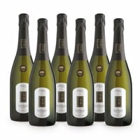 Bosco di Gica Brut Valdobbiadene DOCG Prosecco Superiore - 6 bottiglie