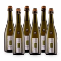 Col Fondo Valdobbiadene Prosecco Superiore Docg Sui lieviti Brut Nature - 6 bottiglie