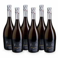 Vitas Ribolla Gialla Brut - 6 bottiglie - Villa Vitas