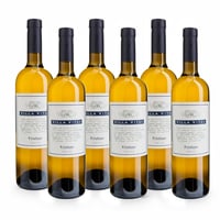 Friulano DOC - 6 bottiglie - Villa Vitas