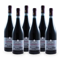 Sommacampagna Bardolino Doc - 6 bottiglie - Il Pignetto