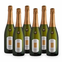 Dei Casel Valdobbiadene Extra Dry DOCG Prosecco Superiore - 6 bottiglie