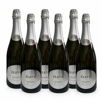 Elevè Brut Metodo Classico - 6 bottiglie - Cravanzola
