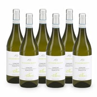 Langhe Nascetta Albori DOC - 6 bottiglie - Alessandro Rivetto