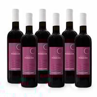 Vigna Panacea Aglianico Sannio DOC - 6 bottiglie - Vigne Storte