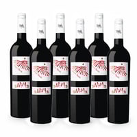 Anima Rosso Beneventano IGP - 6 bottiglie - Vigne Storte