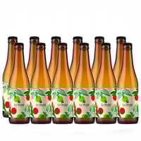 Birra chiara ad alta fermentazione Bianca - 12 bottiglie - Ca' Verzini