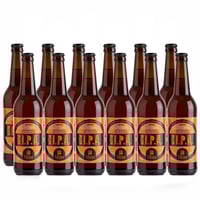 IPA birra artigianale - 12 bottiglie - Ca' Verzini