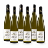 Pinot Gris Alsace A.O.C. - 6 bottiglie - Domaine Vincent Spannagel