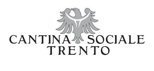 Cantina Sociale di Trento: scopri i prodotti
