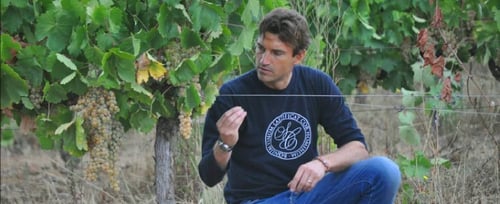 Podere San Cristoforo: scopri i prodotti