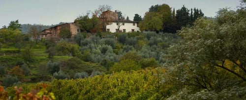 Villa di Vetrice: scopri i prodotti