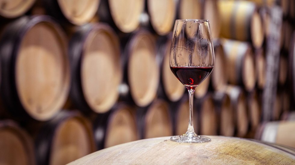 Quale vitigno veniva coltivato nella 