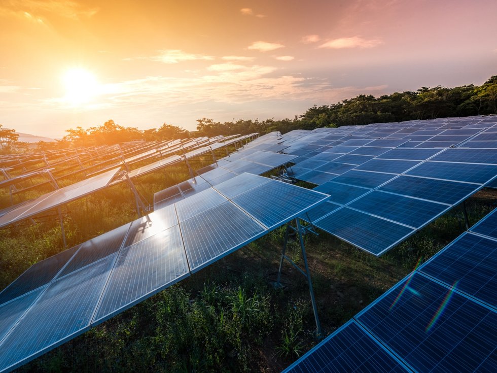 Agrivoltaico innovativo: il futuro è già qui!