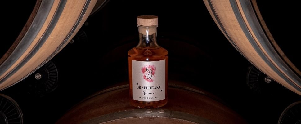 Enjoy Valpolicella: scopri i prodotti