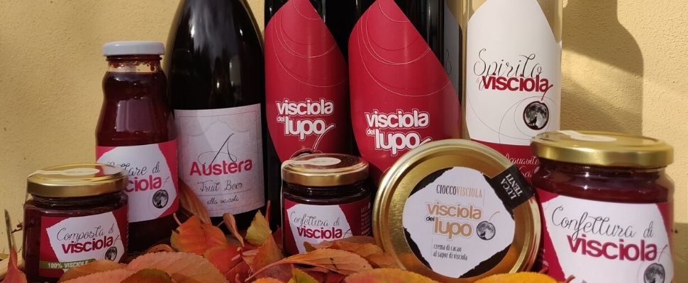 Luca Tenti Visciola del Lupo: scopri i prodotti
