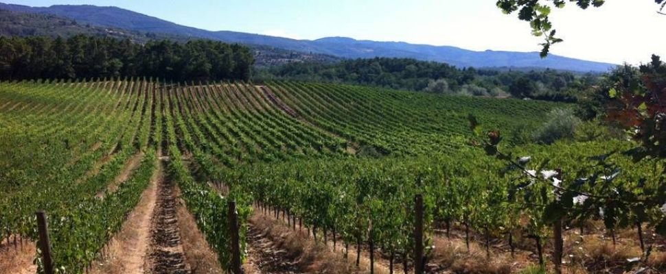 Campo del Monte: scopri i prodotti