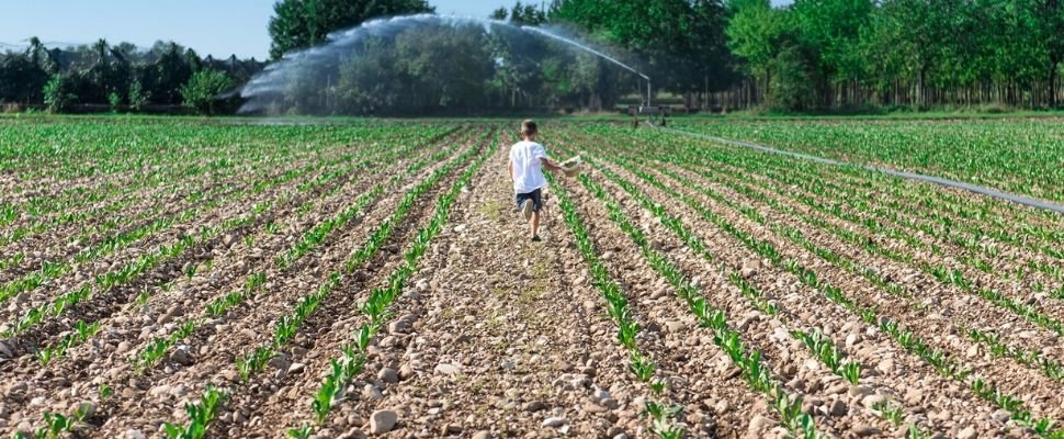 Nonno Andrea: scopri i prodotti