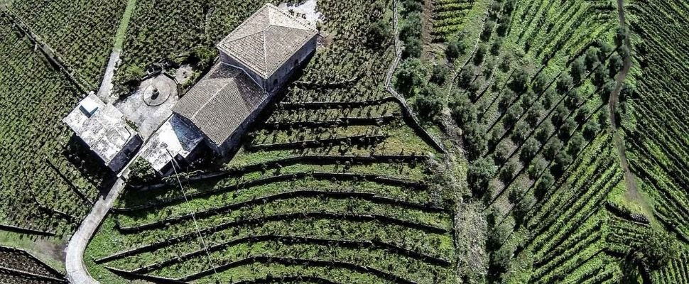 Palmento Costanzo: scopri i prodotti