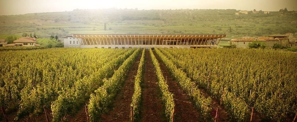 Domini Veneti: scopri i prodotti