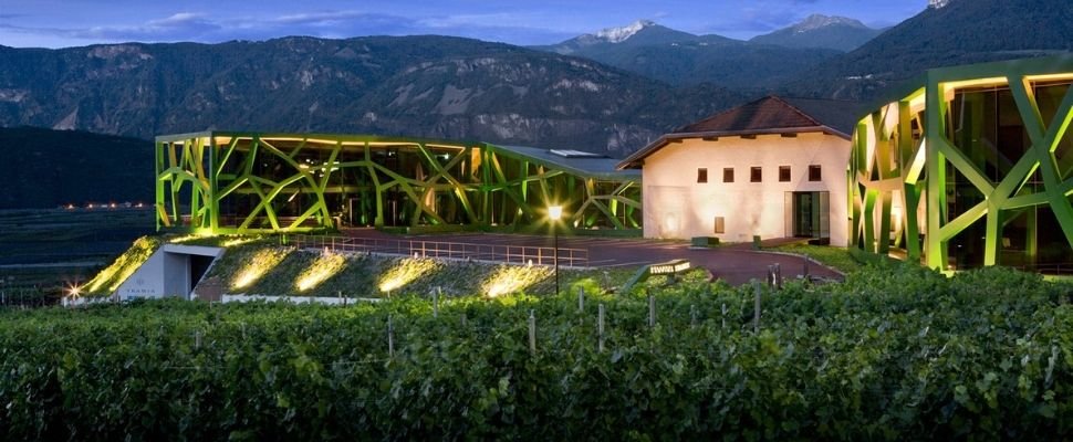 Cantina Tramin: scopri i prodotti
