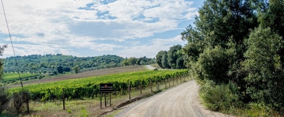 Gratena: scopri i prodotti