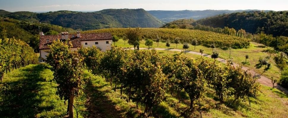 Fratelli Pinna: scopri i prodotti