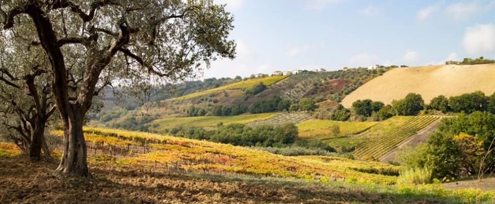 Il Quercetto: scopri i prodotti