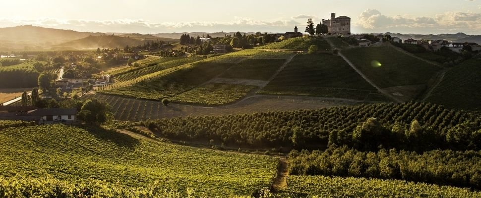 Grimaldi: scopri i prodotti