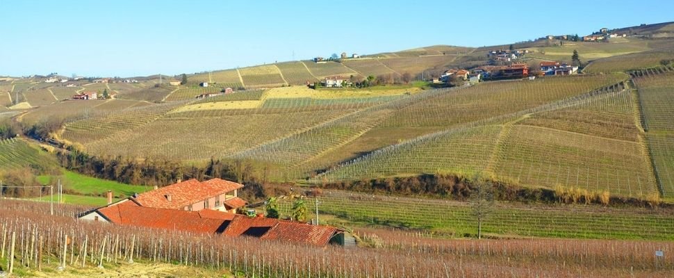 Azienda Agricola Ronchi: scopri i prodotti