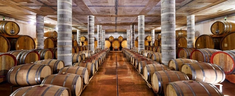 Cantine Dei: scopri i prodotti