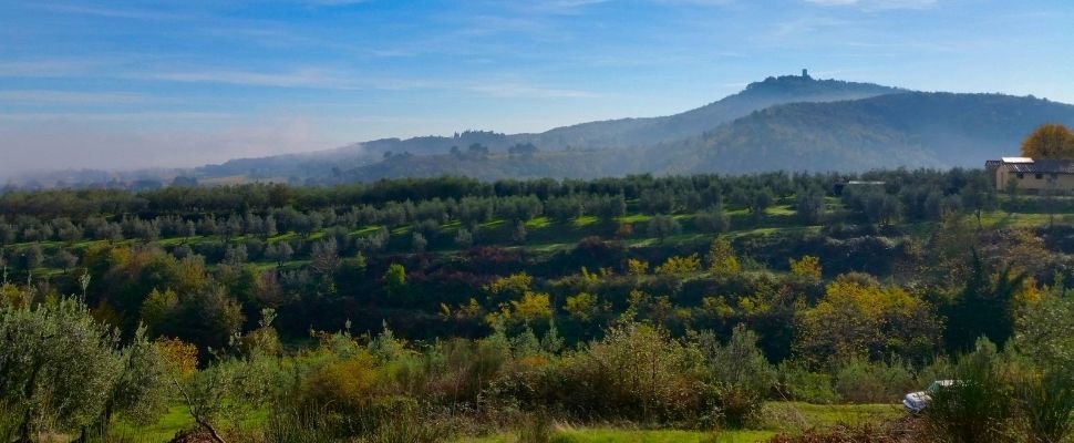 Il Sole Verde: scopri i prodotti