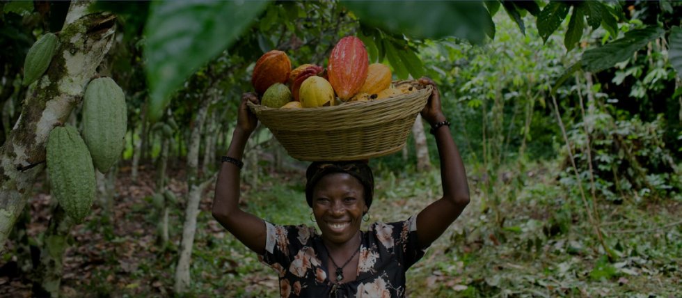 Aroko Chocolate: scopri i prodotti