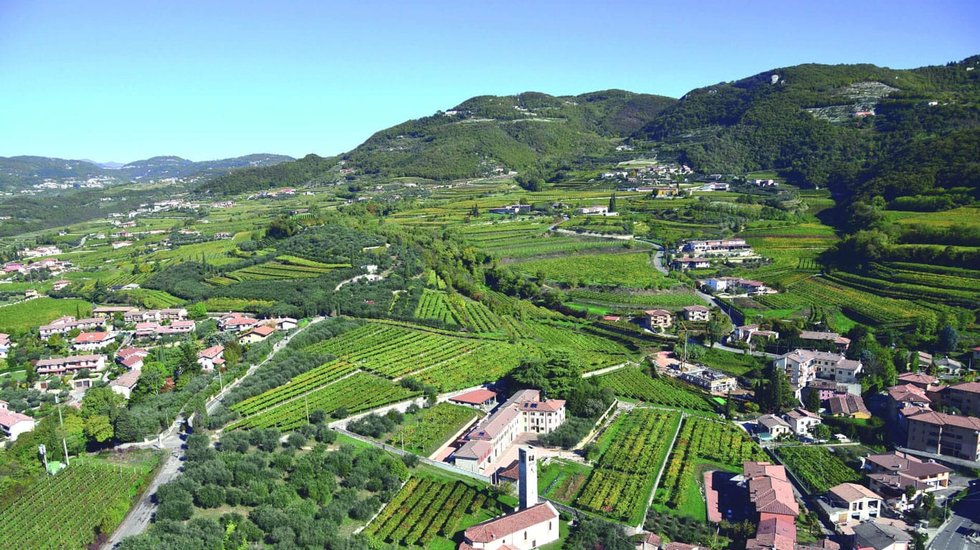 Corte Gonella: scopri i prodotti