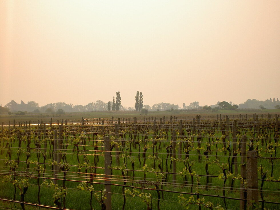 Stölzerhof: scopri i prodotti