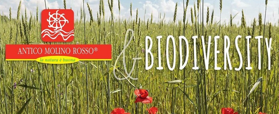 Antico Molino Rosso: scopri i prodotti