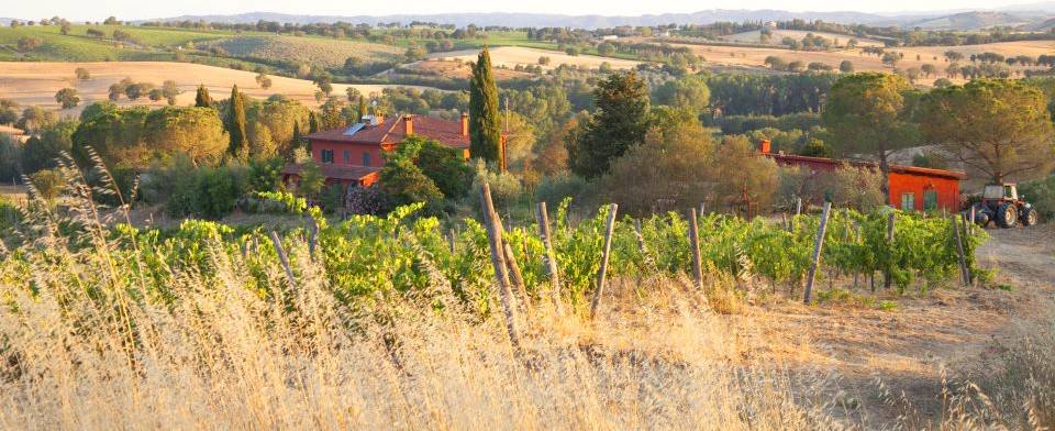 Podere Casina: scopri i prodotti