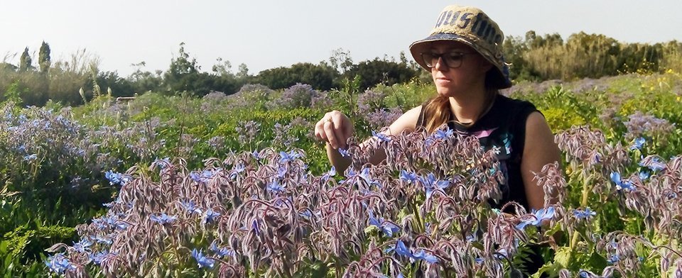 Azienda Agricola Cleopatra: scopri i prodotti
